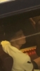 小孩行为🤣C罗注意到有人在上面注视着他，拿出手机看自己啥样